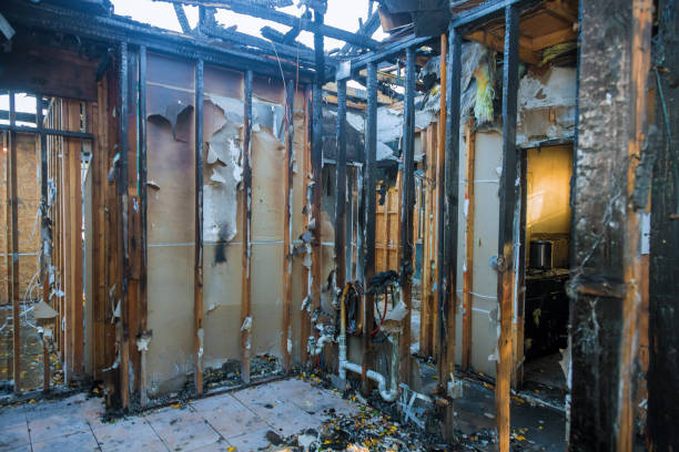 Professional Fire Damage Assessment technician working in Nash, TX